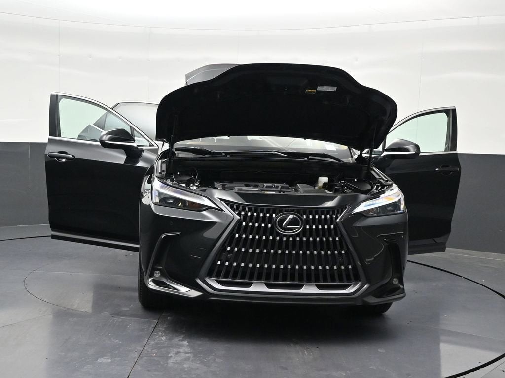 2025 Lexus NX NX 250