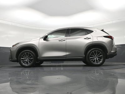 2024 Lexus NX NX 250 Premium