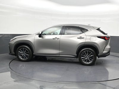 2024 Lexus NX 250 Premium
