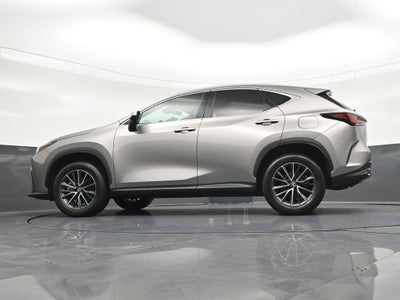 2024 Lexus NX 250 Premium