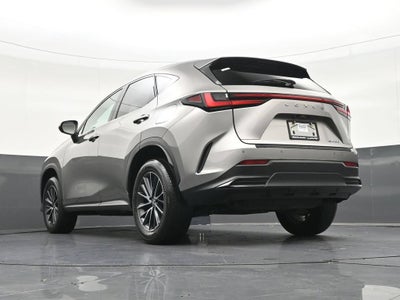 2024 Lexus NX 250 Premium