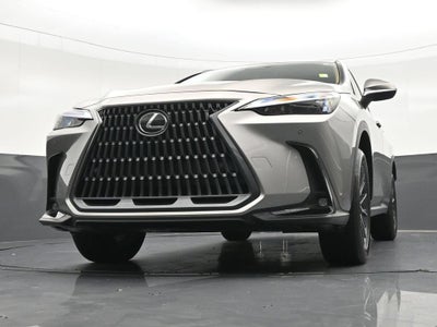 2024 Lexus NX 250 Premium