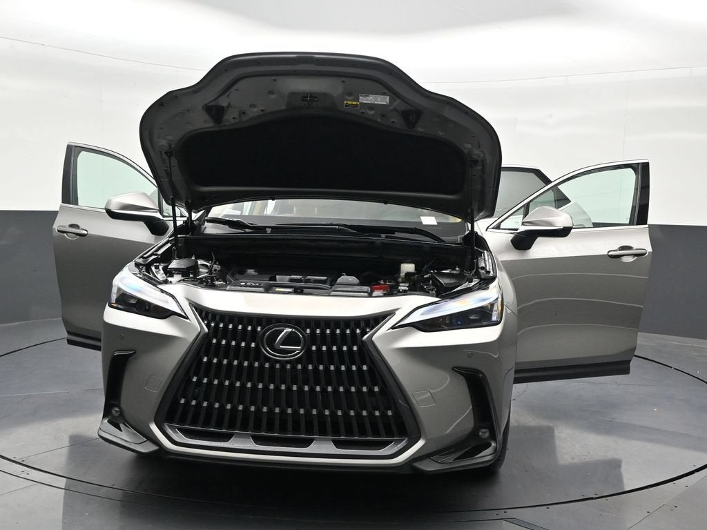 2024 Lexus NX 250 Premium