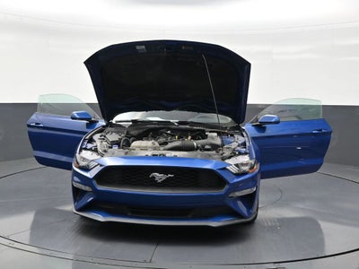 2022 Ford Mustang EcoBoost