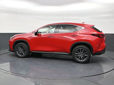2024 Lexus NX NX 250 Premium
