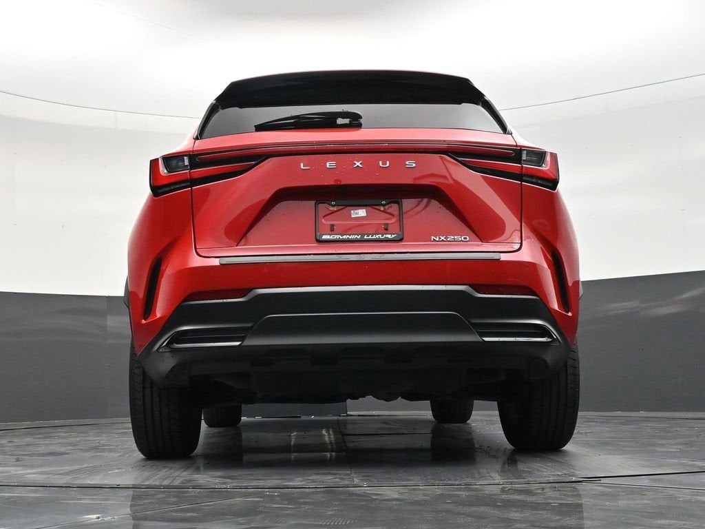 2024 Lexus NX NX 250 Premium
