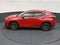 2025 Lexus NX 250 Premium