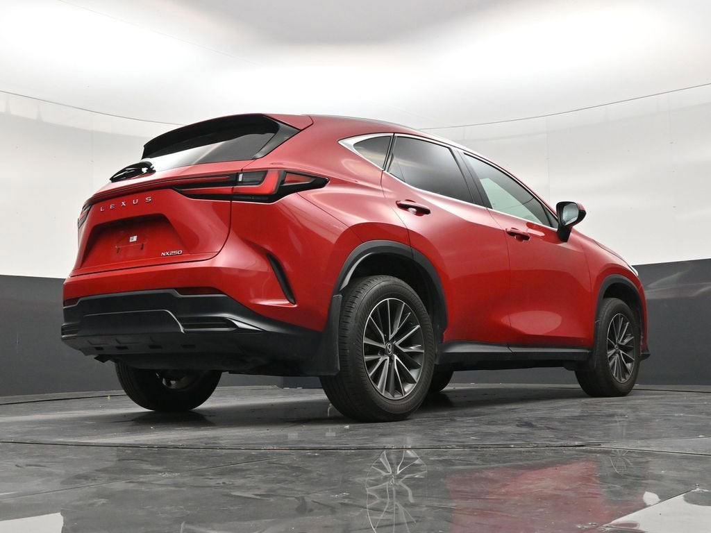2025 Lexus NX 250 Premium