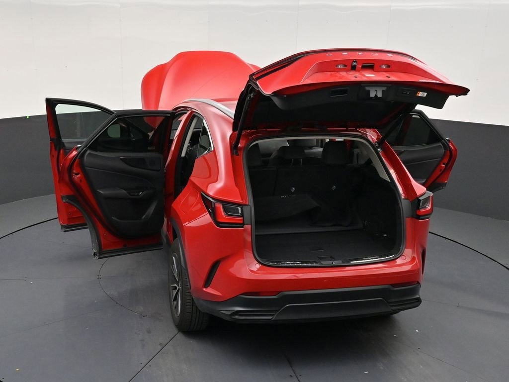 2025 Lexus NX 250 Premium