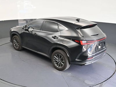2025 Lexus NX 350 Premium