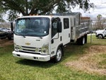 2025 Chevrolet Low Cab Forward 4500 HG Base