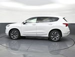 2021 Hyundai Santa Fe Calligraphy