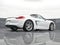 2014 Porsche Cayman S