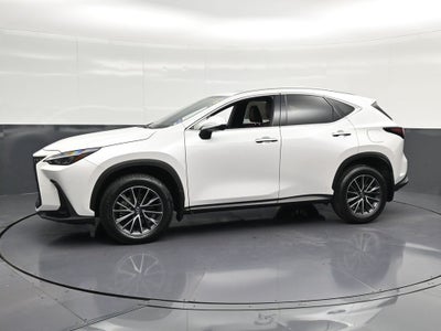 2024 Lexus NX 350 Premium