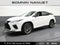 2022 Lexus RX 350 F SPORT Appearance