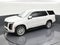 2025 Cadillac Escalade Luxury