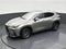 2025 Lexus NX 250 NX 250