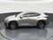 2025 Lexus NX 250 NX 250