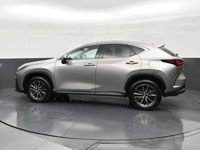 2025 Lexus NX 250 NX 250