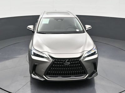 2025 Lexus NX 250 NX 250