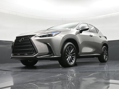 2025 Lexus NX 250 NX 250