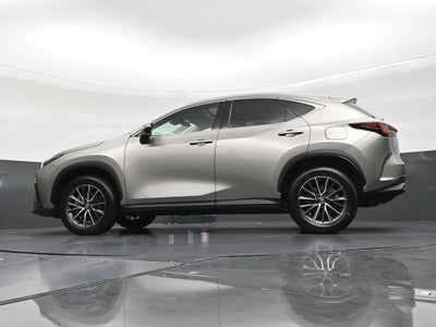 2025 Lexus NX 250 NX 250