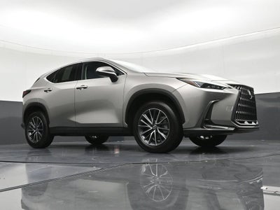 2025 Lexus NX 250 NX 250