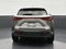 2025 Lexus NX 250 NX 250