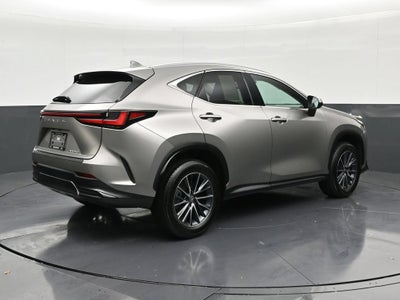2025 Lexus NX 250 NX 250