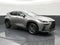 2025 Lexus NX 250 NX 250