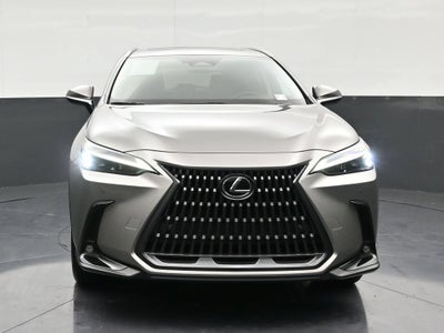 2025 Lexus NX 250 NX 250